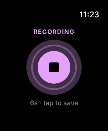 Watch recording a voice note